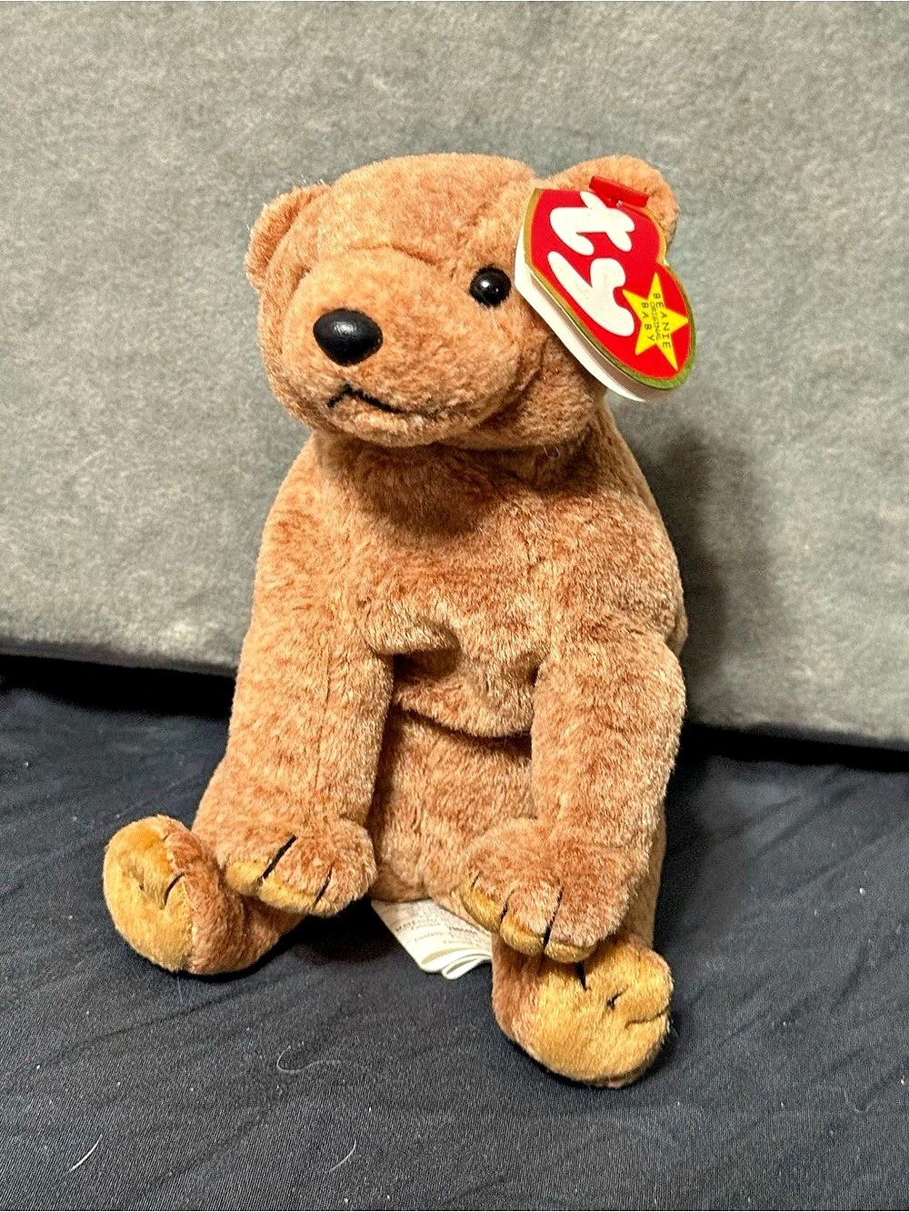 Ty Pecan the Bear Brown Plush Bear